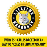 Coyote Pup in Distress Mouth Call