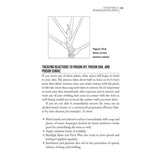 Bushcraft First Aid: A Field Guide to Wilderness Emergency Care
