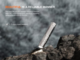 Fenix SilvGlow Limited Edition Collector's AAA Flashlight