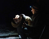 STRIKE 1800 HEADLAMP