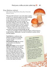 Self-Sufficiency Foraging For Wild Foods Guide